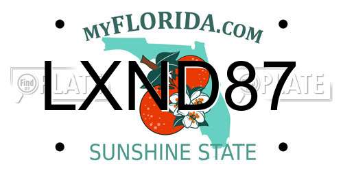 LXND87 Florida License Plate