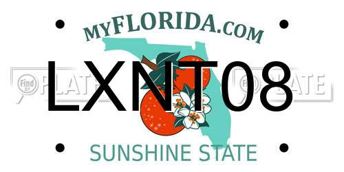 LXNT08 Florida License Plate