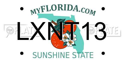 LXNT13 Florida License Plate