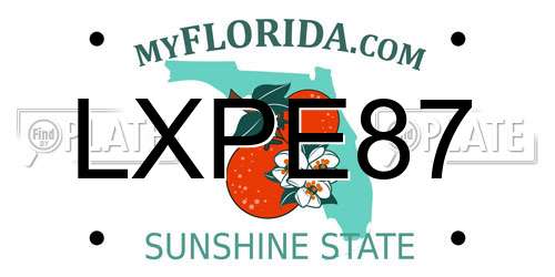 LXPE87 Florida License Plate