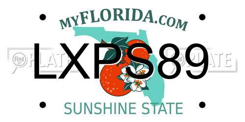LXPS89 Florida License Plate