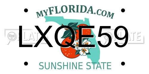LXQE59 Florida License Plate