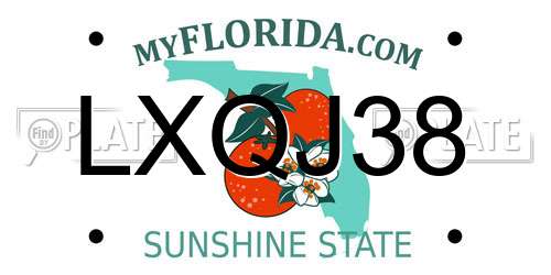 LXQJ38 Florida License Plate