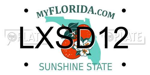 LXSD12 Florida License Plate