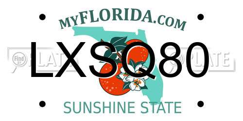 LXSQ80 Florida License Plate