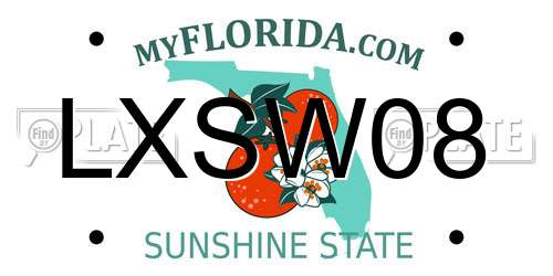 LXSW08 Florida License Plate