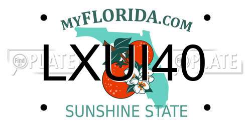 LXUI40 Florida License Plate