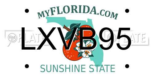 LXVB95 Florida License Plate