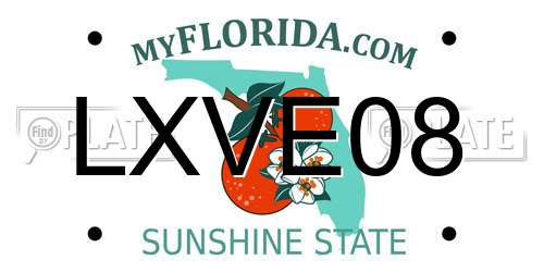 LXVE08 Florida License Plate