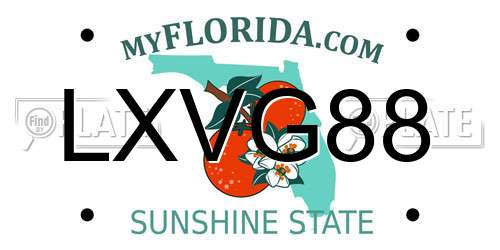 LXVG88 Florida License Plate