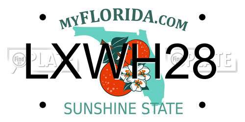 LXWH28 Florida License Plate