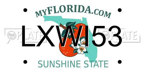 LXWI53 Florida License Plate