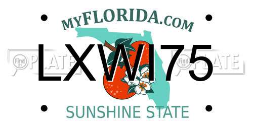 LXWI75 Florida License Plate