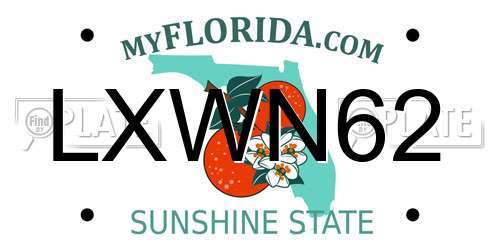 LXWN62 Florida License Plate