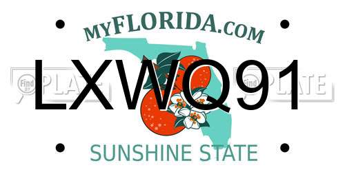 LXWQ91 Florida License Plate