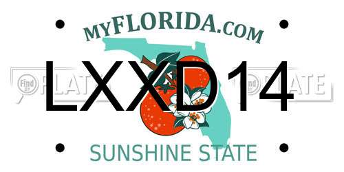 LXXD14 Florida License Plate