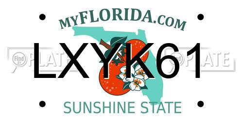 LXYK61 Florida License Plate