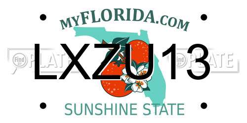 LXZU13 Florida License Plate