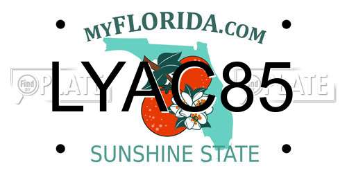 LYAC85 Florida License Plate