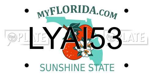 LYAI53 Florida License Plate