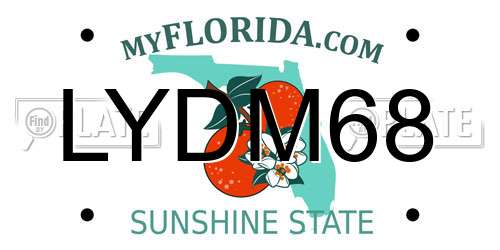 LYDM68 Florida License Plate