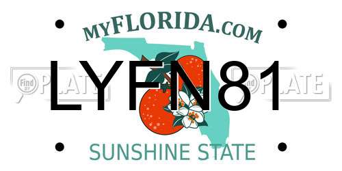 LYFN81 Florida License Plate