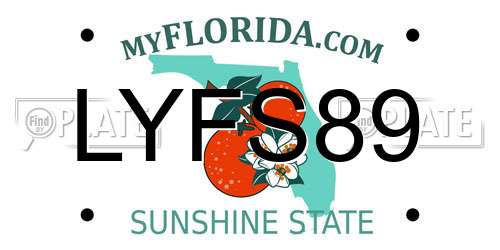 LYFS89 Florida License Plate