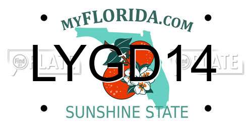 LYGD14 Florida License Plate