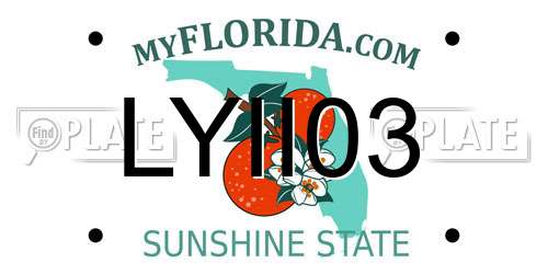 LYII03 Florida License Plate