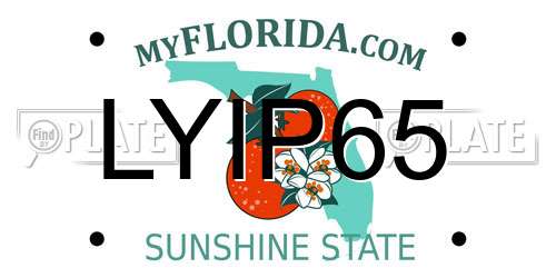 LYIP65 Florida License Plate