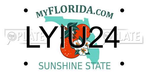 LYIU24 Florida License Plate
