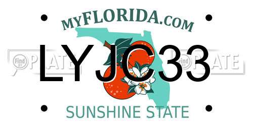 LYJC33 Florida License Plate