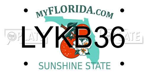 LYKB36 Florida License Plate