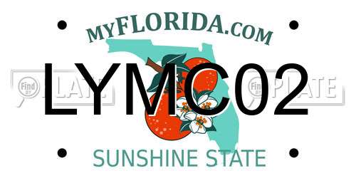 LYMC02 Florida License Plate
