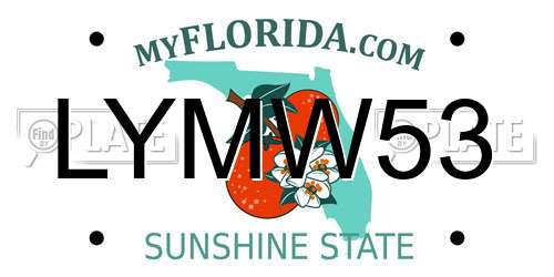 LYMW53 Florida License Plate