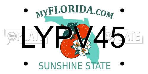 LYPV45 Florida License Plate