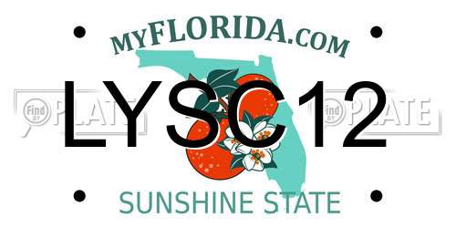 LYSC12 Florida License Plate