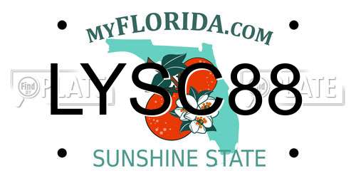 LYSC88 Florida License Plate