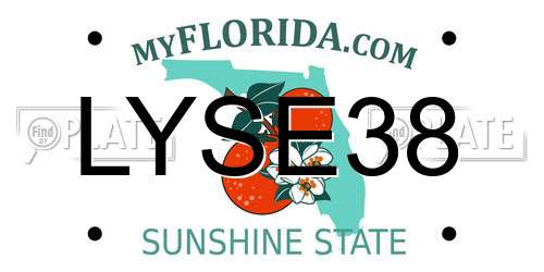 LYSE38 Florida License Plate