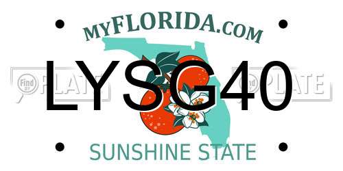 LYSG40 Florida License Plate