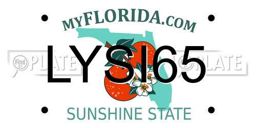 LYSI65 Florida License Plate
