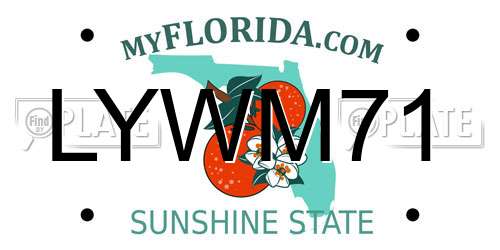 LYWM71 Florida License Plate