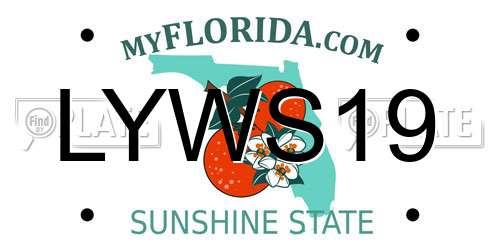 LYWS19 Florida License Plate
