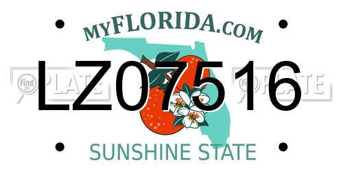 LZ07516 Florida License Plate