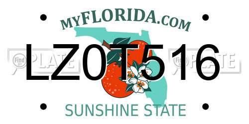 LZ0T516 Florida License Plate