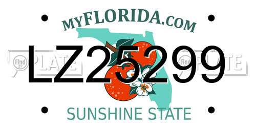 LZ25299 Florida License Plate