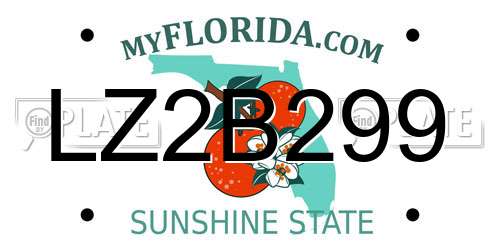 LZ2B299 Florida License Plate