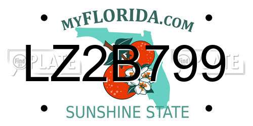 LZ2B799 Florida License Plate