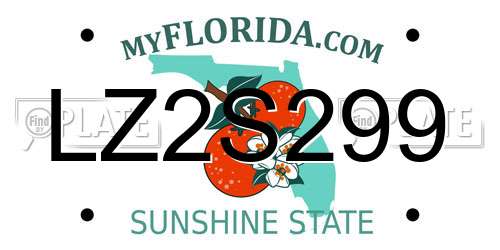 LZ2S299 Florida License Plate