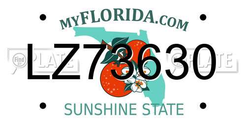 LZ73630 Florida License Plate